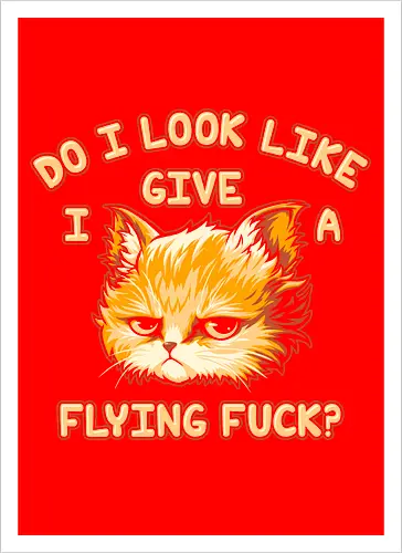 Do I Look Like I Give A Flying Fvck?