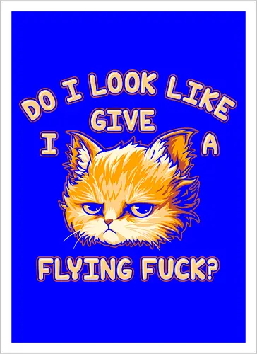 Do I Look Like I Give A Flying Fvck?