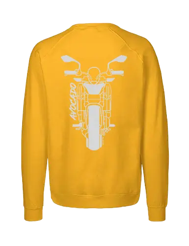 Kawasaki Z650, 2018,  weiß - Oldenburg, Leer, Norden, Emsland, Cloppenburg, Saisonstart2025, motorrad, bike, biker, Bremen, Niedersachsen - Fairtrade Sweatshirt