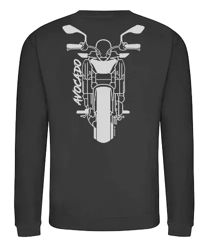 Kawasaki Z650, 2018,  weiß - Oldenburg, Leer, Norden, Emsland, Cloppenburg, Saisonstart2025, motorrad, bike, biker, Bremen, Niedersachsen - Sweatshirt