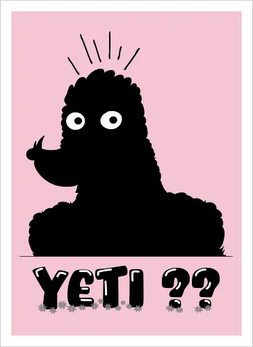 Yeti??