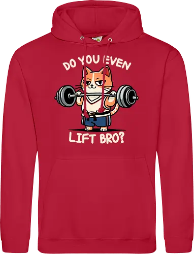 Do you even lift bro?