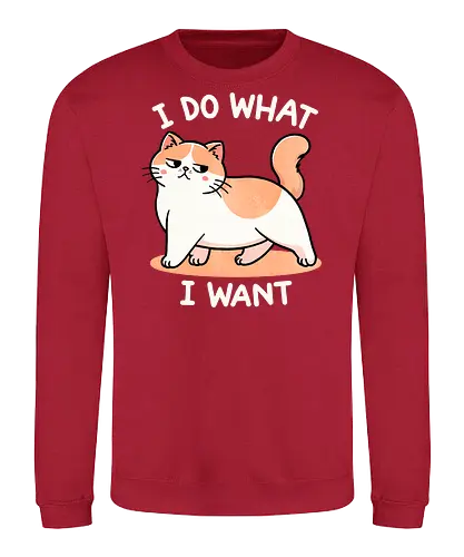 I do what I want - self-expression, freedom, independence, motivational, empowerment, personal choice, confidence, live your life, do what you love, individuality, self-actualization, unique, saying, life motto, inspiration, cat, sassy - Sweatshirt
