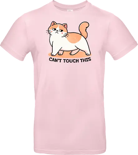 Can't touch this