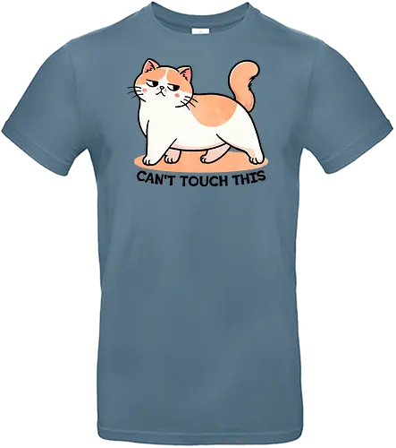 Can't touch this - music, rap, hip hop, dance, funny, meme, 90s, nostalgia, party, song lyrics, catchy, stylish, iconic, performance, culture, cat, sassy, kitten - Standard T-Shirt