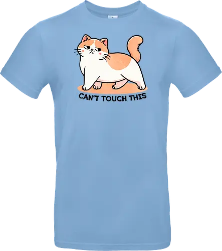 Can't touch this