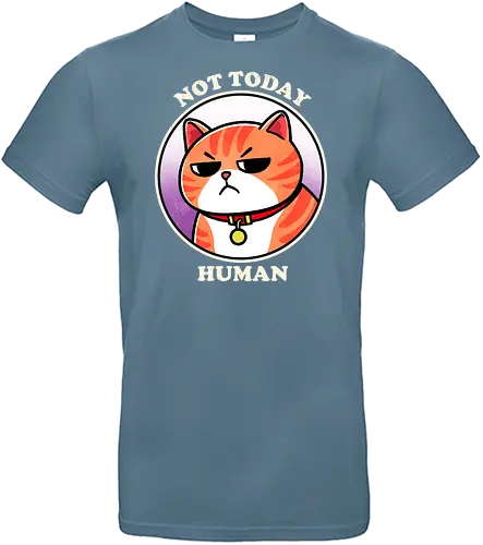 Not today Human - not today, sassy, attitude, funny, humor, sarcasm, statement, quote, typography, design, graphic, meme, meow, vintage, retro, casual, cat, kitten, feline, pet, animal, cute, adorable, cat lover, tabby, domestic cat, pet lover, whiskers, purring, playful - Standard T-Shirt