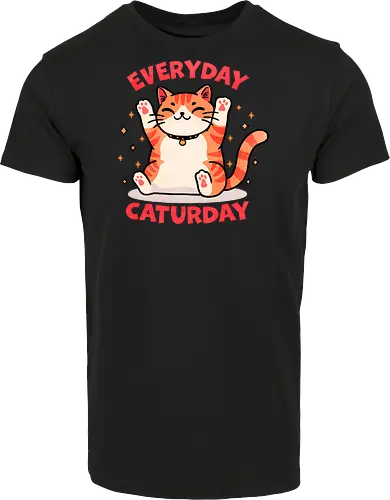 Everyday Caturday