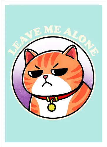 Leave me alone cat
