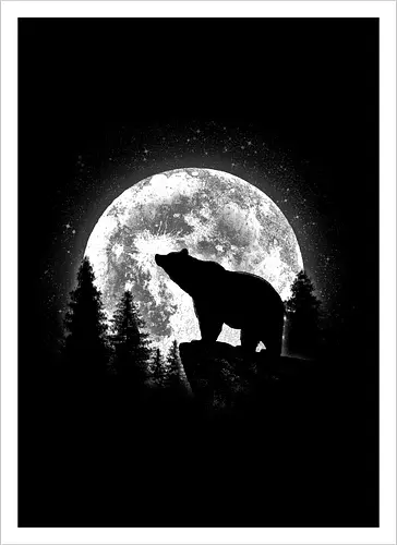 Moonlight Bear