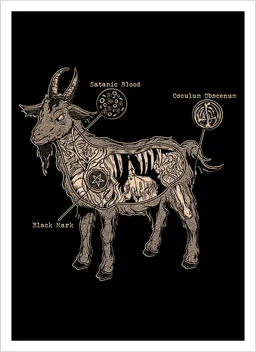 Anatomical Black Goat