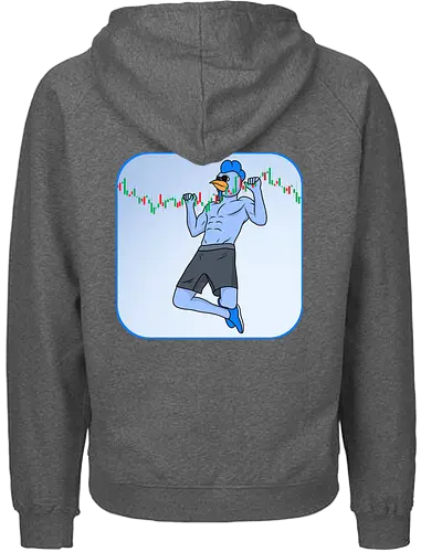 roost pullup - roost, crypto, currency, base, nft - Fairtrade Hoodie
