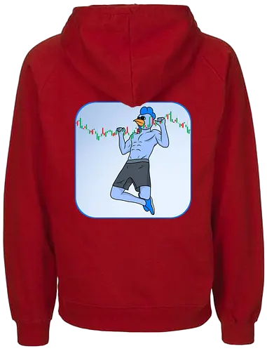 roost pullup - roost, crypto, currency, base, nft - Fairtrade Hoodie