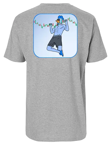 roost pullup - roost, crypto, currency, base, nft - Fairtrade T-Shirt