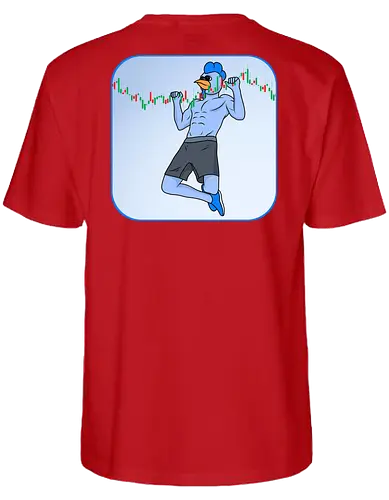 roost pullup - roost, crypto, currency, base, nft - Fairtrade T-Shirt