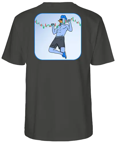 roost pullup - roost, crypto, currency, base, nft - Fairtrade T-Shirt