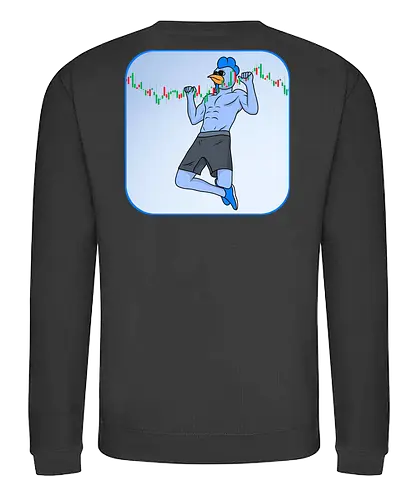 roost pullup - roost, crypto, currency, base, nft - Sweatshirt