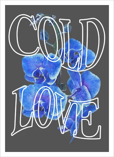 ColdLove