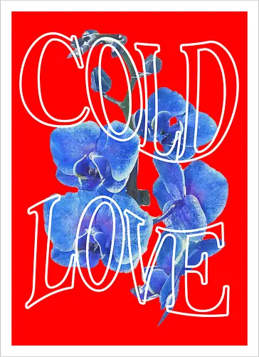 ColdLove