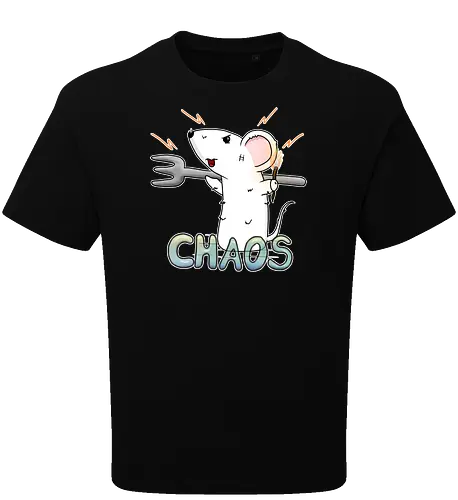 Chaos
