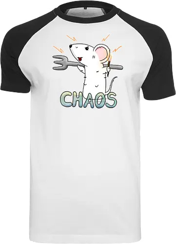 Chaos
