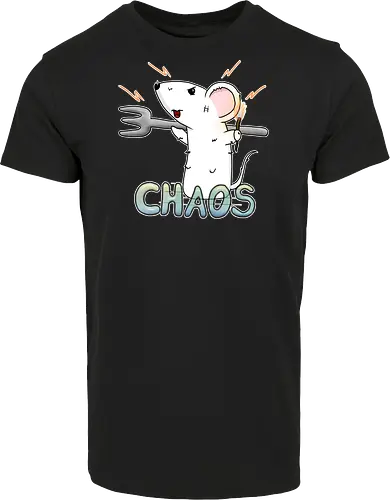 Chaos