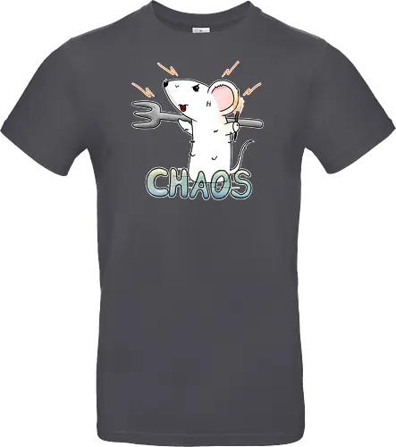 Chaos
