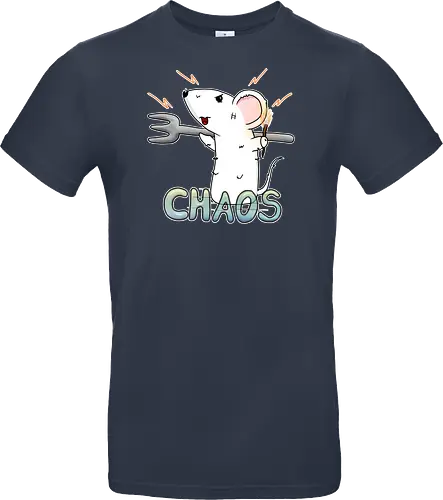 Chaos