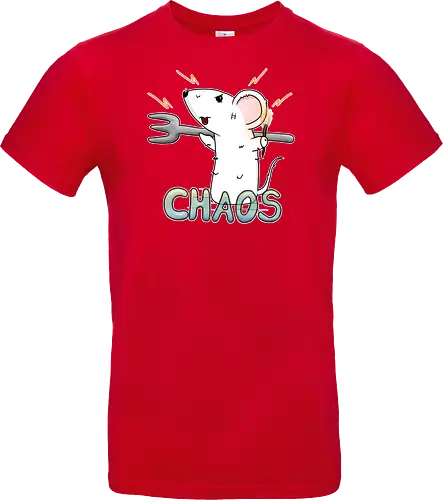 Chaos