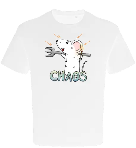Chaos