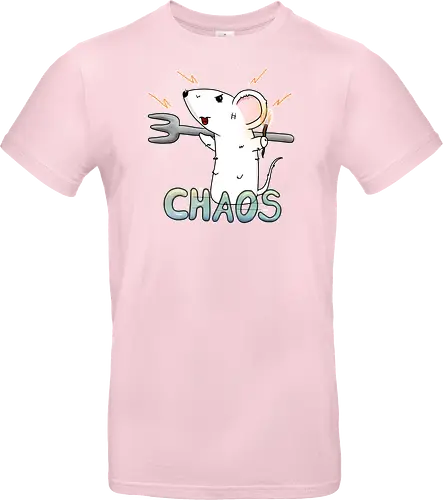Chaos