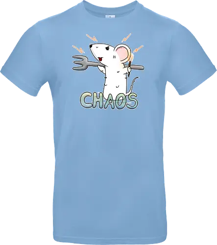 Chaos