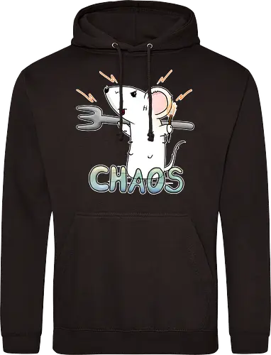 Chaos