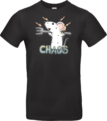 Chaos