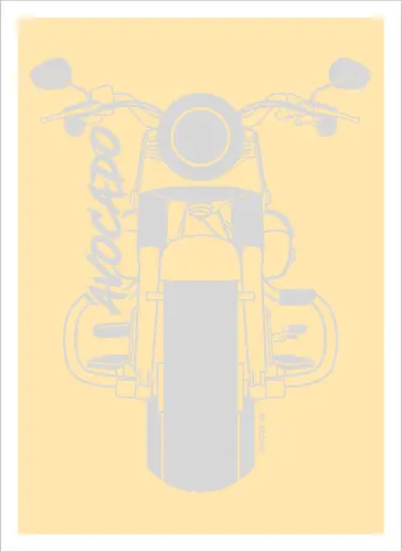 Harley Davidson Fat Boy Luca Weiß