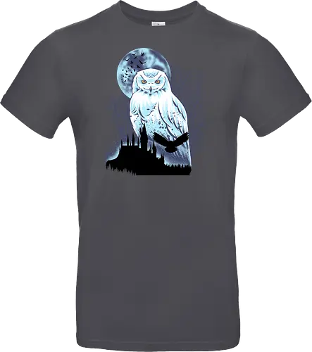 Snowy Owl