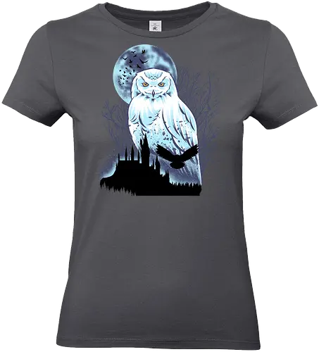 Snowy Owl - Snow, Owl, Winter, Bird - Standard T-Shirt (Women)
