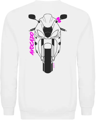 GSX-R Mirco 2