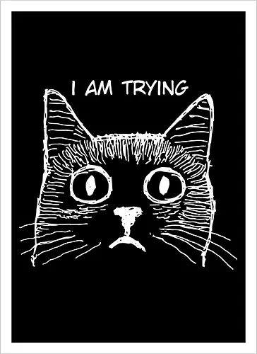 i am trying