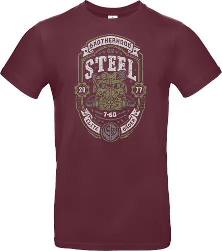 Knight of Steel T-60 v2