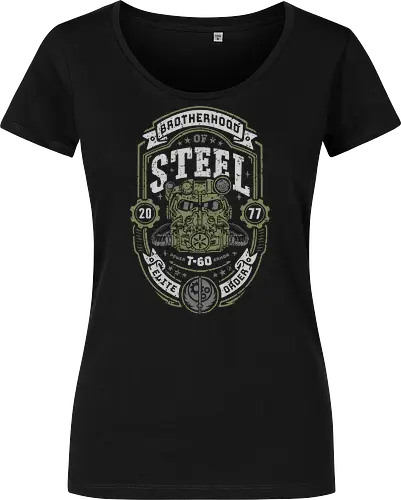 Knight of Steel T-60 v2
