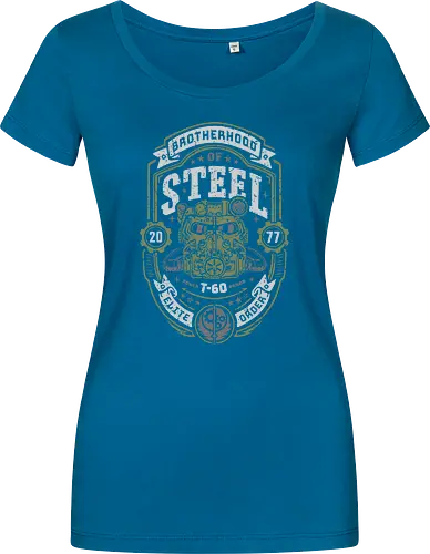 Knight of Steel T-60 v2