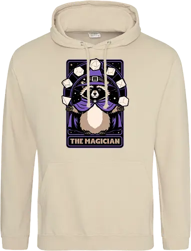 Raccoon RPG Wizard