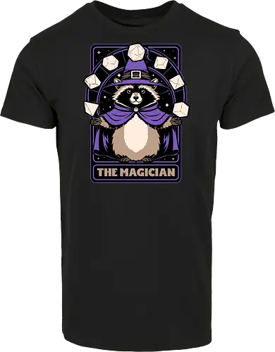 Raccoon RPG Wizard