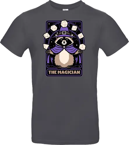 Raccoon RPG Wizard
