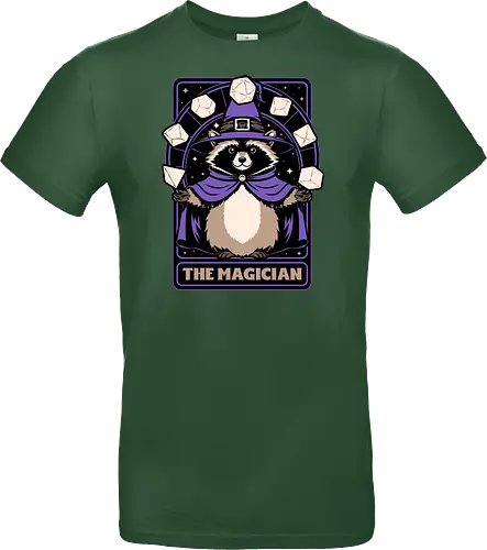 Raccoon RPG Wizard