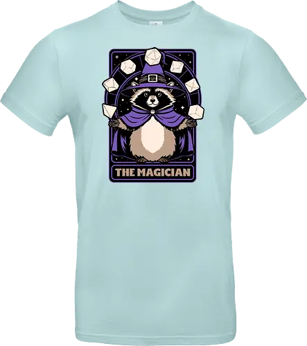 Raccoon RPG Wizard