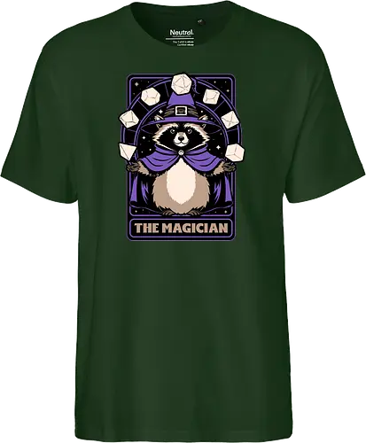Raccoon RPG Wizard