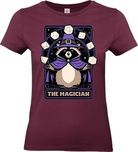 Raccoon RPG Wizard - rpg, Pen and Paper, d20, Pen and paper, dungeon master, role-playing game, tabletop, game master, Role-play, Role-playing, Roleplay Game, Pen and Paper, Dungeon, Fantasy, Adventure, Mythical, Creature, Wizard, Sorcerer, Sorcery, Mage, Dark Mage, Magical, The Magician, Magician, Tarot Card, Tarot, Dice, Raccoons, Raccoon - Standard T-Shirt (Women)