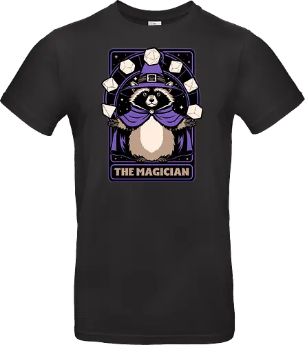 Raccoon RPG Wizard